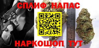 амф Славгород