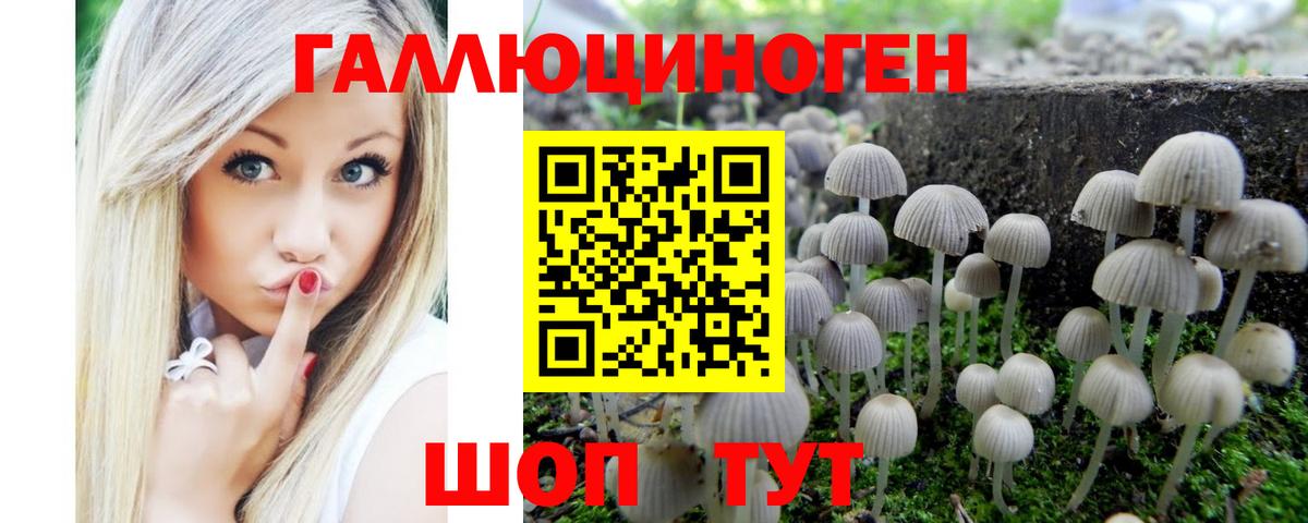 Псилоцибиновые грибы мицелий Отрадный