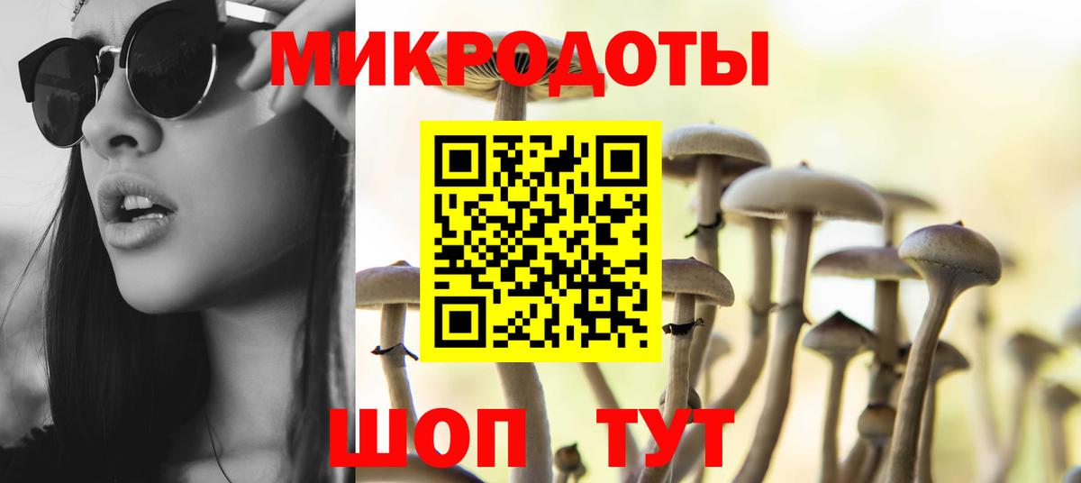 Отрадный  Галлюциногенные грибы мицелий  Вход с VPN 